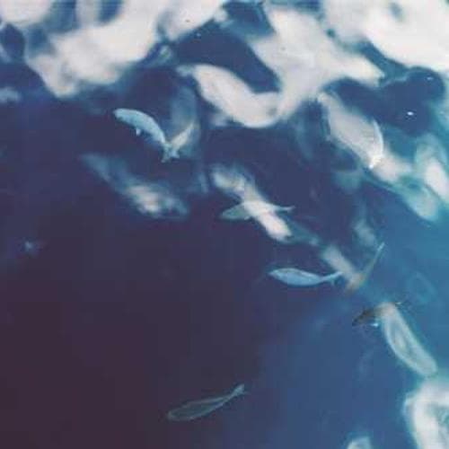 г. Тарко-Сале, алл. Черноморская, д. 91 стр. 84, 379272